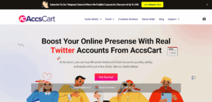 Twitter rules for PVA