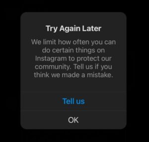 fake Instagram sellers
